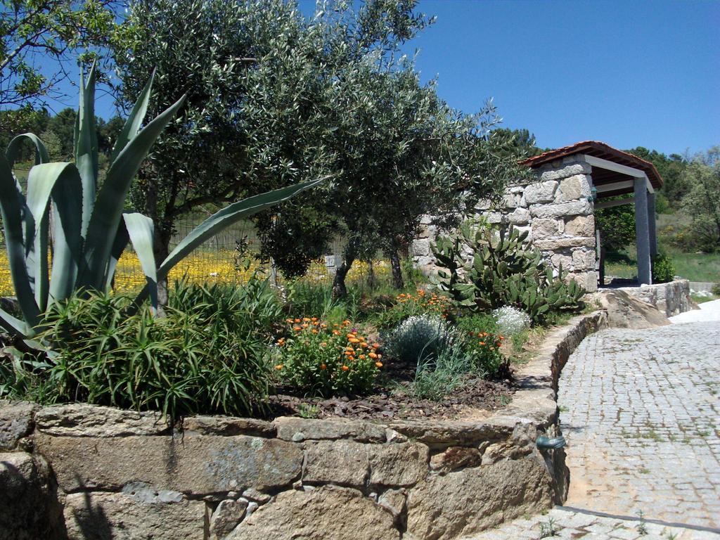 Quinta Do Mineiro-Serra Da Estrela Matanca Стая снимка