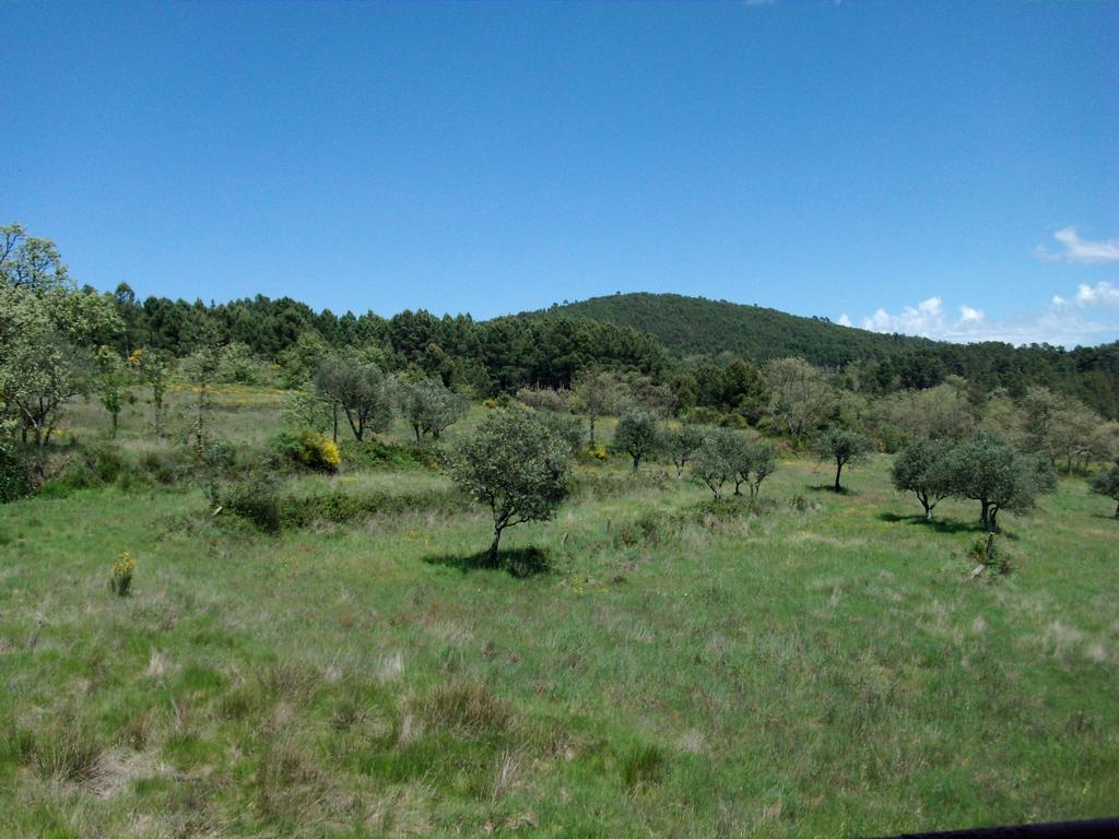 Quinta Do Mineiro-Serra Da Estrela Matanca Стая снимка
